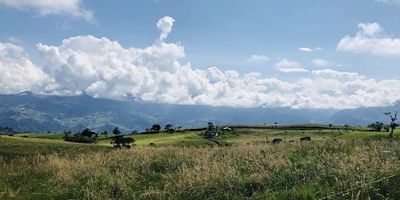 Magnífica propiedad en Choachí Para uso agropecuario. Con todos los permisos al día y licencias. Finca plana, con abundante agua. Una construcción de 120 Mtrs , Que cuenta con 2 alcobas, baño, cocina sala comedor. Una contrición de 200 mtrs en obra con todas las licencias y permisos al día. Tecnificado, con urbanismo y paneles solares. La carretera veredal está pavimentada, Magnífica vista, Con posibilidad de valorización