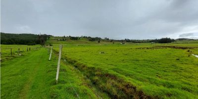 Código: 9091FR471 venta de magnifico lote con topografia plana, con una extensión de mil seiscientos metros cuadrados, ubicado en la vereda Forantiva, a treinta minutos de la ciudad de Tunja, vía Chivata - Toca, apto para ganaderia, agricultura o casa campestre.

Si requieres más información contáctanos…
