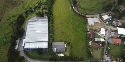 Excelente lote para arriendo en el municipio de Rionegro sector variante entre el aeropuerto y la autopista y tan solo 5min del aeropuerto cuenta con una topografía totalmente plana, un área de 10.000m2 totalmente plano, sobre toda la vía principal, tiene servicios básicos como energía y acueducto y licencia mixta, muy buena oportunidad para construcciones livianas o almacenar contenedores para metalmecánica.