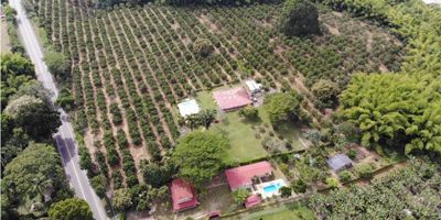 FINCA DE 15.8 CUADRAS APTA PARA DESARROLLO URBANISTICO.

Vendo, hermosa finca con el mejor terreno para desarrollar proyecto turistico a tan solo 15 minutos del club campestre de armenia, son 15.8 cuadras de muy buen terreno que actualmente se encuentran sembradas en naranja, pero a futuro podrian tener excelente desarrollo, 400 metros sobre la via que conduce al valle. la finca tiene una casa campestre de un solo piso con amplios espacios y piscina.

