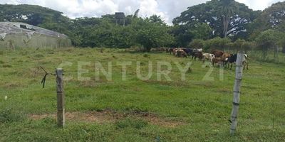 Venta de Lote en la Vereda Zabaletas, Ginebra, Valle del Cauca, Ubicación Estratégica: a tan solo minutos del peaje en la vía Ginebra-Cerrito, en la prestigiosa y tranquila Vereda Zabaletas, conocida por su desarrollo y potencial.

Características del Lote:
Área: 3.456 m² de terreno plano, ideal para proyectos comerciales, agrícolas o recreativos.

Ubicación privilegiada: La mejor zona de la vereda, con acceso rápido y cómodo a vías principales.

Entorno natural: Rodeado de paisajes verdes y un ambiente tranquilo, perfecto para desconectarse del bullicio de la ciudad.

Servicios Públicos:
Aunque actualmente no cuenta con servicios públicos instalados, su proximidad a redes de acueducto y energía eléctrica facilita su conexión, ahorrando costos y tiempos.

Potencial Inversionista:
Ideal para construir la casa de tus sueños, una finca de recreo o invertir en un terreno de alta valorización.

Perfecto para quienes buscan tranquilidad sin alejarse de la conectividad urbana
 Precio competitivo y negociable.
¡No pierdas esta oportunidad única! Para más información o agendar una visita, contáctanos ahora.