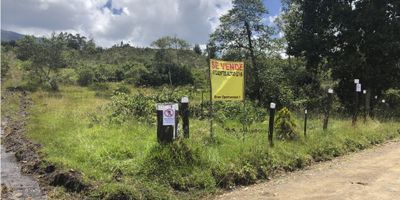 Un lote/terreno villero ubicado en Tinjacá, Boyacá, con un área total de 22.000 m2, ideal para el desarrollo de proyectos inmobiliarios.

Este lote cuenta con acceso pavimentado para una mejor movilización. La extensión del terreno es grande, por lo que espacios destinados al cultivo, almacenamiento de cosecha y actividades mineras son posibles.

Como si esto fuera poco, el terreno cuenta con árboles frutales que proporcionan una producción económica para el dueño y suman valor al terreno. Se encuentra ubicado en un área tranquila, cerca de los recursos básicos y está en una localización privilegiada, lo que permite tener vistas magníficas.

Al estar localizado en una zona rural, el terreno es adecuado para actividades productivas como la ganadería, la agricultura, el turismo, la recreación, entre otras, lo que lo convierte en una buena inversión. Mientras que, el acceso pavimentado mejora la movilidad y las conexiones con la ciudad principal, lo que facilita el traslado de personas y productos.

En Tinjacá, Boyacá, encontrarás esta fantástica propiedad, con 22.000 m2 de área aproximadamente, con una excelente ubicación y acceso pavimentado. Esta es una oportunidad única para invertir en un inmueble con un alto potencial para satisfacer tus necesidades y emprender nuevos proyectos.
