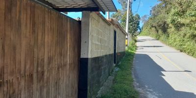 Finca   ganadera  en venta   la cejita Barbosa 

 La Cejita hace parte del grupo de veredas que conforman la Aldea Nuevo Amanecer, ubicada al sur oriente del municipio. Allí se destaca la vista panorámica donde se observa el potencial turístico de la zona.

La Cejita es una vereda con personas dinámicas que han potencializado sus destrezas hacia la creación de microempresas de dulcerías y repostería que son vendidas en toda la región hasta Santo Domingo. Igualmente, su producción está centrada en el cultivo del café, los cítricos y la actividad agropecuaria con la cría de pequeñas especies. 

Cuenta con dos Casas construida  en material  en   Via  pavimentada  que condice  de  Barbosa a santo domingo.

¡Agenda   Una Cita!
