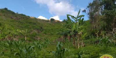 Código: 4008. 1° Piso en edificación de 1 piso. Acceso al inmueble: Directo a la vía destapada. El terreno cuenta con una casa rustica construida de 100 metros. La casa cuenta con: Alcoba con puerta, baño, solar y cocina sencilla.