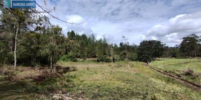 Terreno para venta de 13.995 metros cuadrados aproximadamente de los cuales el 60 por ciento es plano y el área restante es pendiente pronunciada; con posibilidad de carretera hacia la parte alta. No tiene instalaciones de energía. El terreno tiene cercanía a  corrientes de agua, tanques de EPM - Aguas La Ceja. NOTA: El valor de impuesto predial informado, es anual