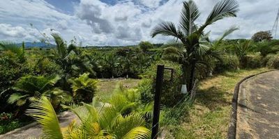 Espectacular lote de 10.000 mts2 para venta en cerritos vía la virginia. En condominio, el lote tiene sembrado palos de aguacate, plátano, cítricos y más.Listo para que construyas tu vivienda, condominio tranquilo y confortable TATIANA GALVIZ