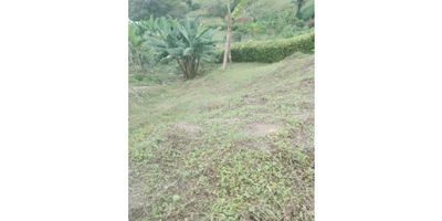 En La Fontana Soluciones Inmobiliarias te presentamos un lote con dos (2) servicios de agua y luz, terreno semihondulado, una (1) piscina y áreas sociales. Ubicación privilegiada que combina tranquilidad y recreación al aire libre. ¡Construye tu proyecto soñado y aprovecha esta oportunidad única con La Fontana Soluciones Inmobiliarias! 
 
Código inmo: 14784 Manizales, Caldas. 
