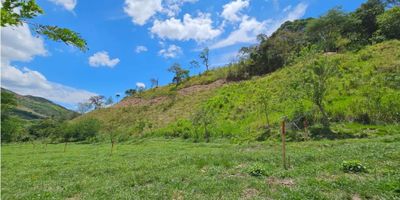 ? Lotes Campestres en Venta – Parcelación Bosques de Libertad, Sector Las Margaritas (Cambía) ?

¿Buscas un espacio natural para construir tu refugio soñado?

? Esta es tu oportunidad:


- 53 lotes disponibles desde 950 m² hasta 2.500 m²
- Valor del m² desde $160.000
- Con matrícula inmobiliaria individual y titularidad al 100% (¡no es proindiviso!)

Beneficios del proyecto:
- Entre la Autopista Pacífico 3 y la vía a San José
- Abundante agua y majestuosa quebrada protegida
- Dos áreas de reserva natural
- Hogar de aves y biodiversidad
- Vías de acceso en pavimento
- Portería incluida (en construcción)
- Senderos ecológicos, sin administración mensual
- Valorización asegurada por su ubicación estratégica entre Medellín, Pereira y Manizales

Un lugar mágico donde la naturaleza es protagonista. ?
? Sector Las Margaritas – Vía al Túnel de Tesalia


¡Contáctanos y conoce tu nuevo rincón de libertad! ?️


