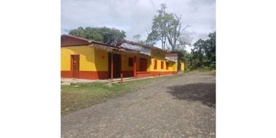 ¡Descubre tu oasis en medio de la exuberante belleza de  Andes - Antioquia! Esta impresionante finca de 3,200 metros cuadrados ofrece una combinación perfecta de espacio y comodidad. Con 100 metros cuadrados de área construida, esta propiedad cuenta con una próspera plantación de 200 matas de banano y 90 matas de plátano en plena producción, brindándote la oportunidad de cosechar tus propios frutos frescos.

Además, disfruta de un lago privado ideal para el criadero de peces, añadiendo una experiencia única de contacto con la naturaleza a tu estilo de vida en la finca.

Ubicada estratégicamente cerca de una vía principal, esta finca ofrece fácil acceso y conveniencia. La casa, construida con materiales de calidad, cuenta con un amplio parqueadero para tus vehículos y todas las comodidades necesarias para disfrutar de la vida en el campo con estilo.

Además, su ubicación en el borde de la carretera principal te permite estar cerca de la cabecera municipal, así como de los encantadores pueblos de Jericó y Jardín, lo que te brinda la oportunidad de explorar y disfrutar de la rica cultura y belleza natural de la región. ¡No dejes pasar esta oportunidad única de tener tu propio paraíso en  Andes - Antioquia!
