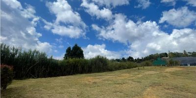 Se alquila dos casas  en la vereda San Isidro, ideal para disfrutar de un entorno tranquilo y confortable. Cuenta con turco y jacuzzi.

La primera casa cuenta con:

Primera planta:
    •    Sala y comedor independientes.
    •    Cocina integral con cajones de almacenamiento.
    •    Zona de lavado amplia y funcional.

Segunda planta:
    •    Tres habitaciones, la principal con baño privado y balcón.
    •    Baño auxiliar para las demás habitaciones.
    •    Corredor con acceso a un segundo balcón, perfecto para disfrutar del paisaje.

Una casa espaciosa y llena de comodidades en un entorno campestre.

La segunda casa cuenta con:


 4 habitaciones
 2 Baños
 Cocina integral
 Casa ideal para uso comercial, vacacional o casa para una familia numerosa.

