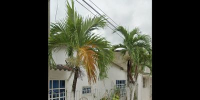 CASA EN VENTA, SAN FERNANDO

Excelente casa ideal para vivienda familiar, 90 m2, es equinera, 2 hab 2 baños

Codigo Wasi 9168556
