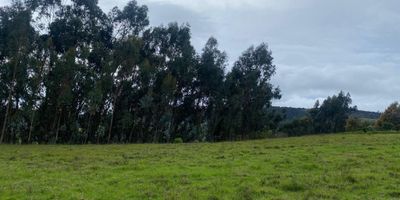 Atos Inmobiliaria ofrece en venta un lote ubicado en Oicatá, con una excelente área de 1.690 metros cuadrados. Cuenta con 21,36 metros de frente y 79 metros de fondo, ideal para desarrollar el proyecto que tienes en mente, ya sea de vivienda, inversión o uso agropecuario. Situado en un municipio cercano a las principales ciudades del departamento, ofrece fácil acceso y está rodeado de naturaleza, lo que lo convierte en un entorno tranquilo y privilegiado. ¡No dejes pasar esta oportunidad! Contáctanos y agenda tu cita hoy mismo.