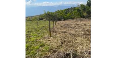 VENTA O PERMUTA LOTE MUNICIPIO DE LOS SANTOS COD: 879

CONSTA DE:
Área 2953 m²
✅El lote es un 80 % plano
✅12 minutos del mercado de la mesa
✅Valor venta: 150.000.000 millones 

AGENDA TU CITA *301-5948700  O  300-3681081*
