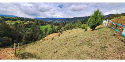 ¡Tu Refugio de Montaña te Espera!

¿Buscas un escape de la ciudad, un lugar donde la naturaleza te abraza y la tranquilidad reina? Este lote de 1500 metros cuadrados en Belmira, Antioquia, es tu respuesta.

Ubicación privilegiada a solo 20 minutos de San Pedro de los Milagros, disfruta de la cercanía a un pueblo encantador con todas las comodidades, pero con la paz y privacidad que ofrece el campo. a 1 hora y media de Medellín, la combinación perfecta entre la tranquilidad del campo y el acceso a la vibrante vida urbana. Su topografía es inclinada con vista espectacular al noreste:  despiértate cada mañana con paisajes de ensueño y atardeceres que te robarán el aliento. Clima fresco de montaña a 2491 metros sobre el nivel del mar: Olvídate del calor y disfruta de temperaturas agradables durante todo el año. Ubicado a pocos minutos de la Truchera San José: Un lugar ideal para compartir en familia y disfrutar de la gastronomía local. Cuenta con acueducto veredal y redes de energía. En este lote podrá crear el hogar de tus sueños. Aquí tienes algunas ideas de lo que podrías construir:


 Cabaña de montaña o Glamping: Una acogedora cabaña de madera o piedra, con grandes ventanales para admirar el paisaje y una chimenea para las noches frescas.
 Casa de campo: Una casa espaciosa con amplios jardines, huerta y árboles frutales, donde puedas vivir en contacto con la naturaleza.


¡No esperes más, tu paraíso en la montaña te espera!

Este lote en Belmira es una joya que no encontrarás fácilmente. Si buscas un lugar para construir tus sueños, rodeado de naturaleza y con una vista inigualable, ¡este es tu lugar!

¡Contacta hoy mismo para conocer más sobre este increíble lote y comienza a hacer realidad tu sueño de vivir en la montaña!
