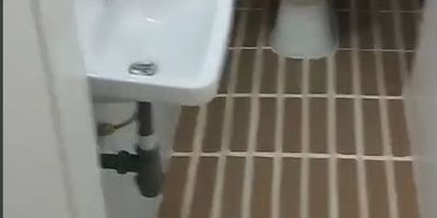 El inmueble es una casa familiar, el apartamento esta en el primer piso, se tiene dos opciones de lavandería en el tercer piso o en el primer piso. Se requiere gas domiciliario y compartir la entrada de la casa.  Ambiente familiar y tranquilo, para persona sola que trabaje y o estudie.  Habitación, cocina, baño, de uso exclusivo. 