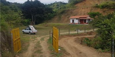 Área del lote 3.000 m2, área construida 65 mts, 3 alcobas, 2 baños, sala comedor, cocina integral, pisos en baldosa, agua veredal y servicios públicos.El terreno cuenta con bosque nativo y árboles frutales.Excelente ubicación. Vía Santa Fe de Antioquia Sopetrán.