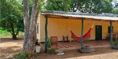 Finca en venta en Valledupar, Cesar. Ubicada en la Vía a La Paz, cerca de la ciudad, esta propiedad ofrece una extensión de 10.000 m² de área, ideal para diversos proyectos. La finca de un nivel incluye 4 parqueaderos y cuenta con vigilancia para mayor seguridad. Con 44 años de antigüedad, representa una oportunidad de inversión en la región. Para más detalles sobre esta finca en Valledupar, o para coordinar una visita, puede contactarnos por WhatsApp, solicitar que le contacten o ver los números de teléfono disponibles.