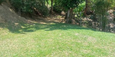  HERMOSO LOTE  EN VENTA SECTOR ISAZA BARBOSA ANTIOQUIA 

     


 Área: 10 hectáreas mas 2.400  metros
 Tiene 2 casas campesinas.
  Ubicada a 45 minutos de Medellín  y tan solo   5 minutos  de la vía principal antes  de ingresar al  pueblo .
 Estrato 3
 Topografía : mixta ondulada aprovechable 
 Se ingresa por vía veredal en rieles  hasta la propiedad
 Cuenta con zonas de protección en especies nativas  para los 3 cauces naturales de agua que lo cruzan y  conexión al acueducto veredal. 
 Topografía  mixta, ondulada y un clima templado durante todo el año, lo que hacen de esta propiedad una zona ideal para casas de recreo o vivienda permanente.
  Lote apto para fomentar el AGRO
   DESARROLLABLE PARA PARCELAR 
 Arboles frutales 
 Excelente vista a las montañas 
 Escritura pública al 100 %.
 SE ACEPTA PERMUTA A LOTE EN EL ORIENTE ANTIOQUEÑO. 


       AGENDA YA TU CITA 