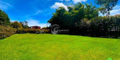 Canon desde $2.300.000 hasta $4.000.000, según el tipo de uso y duración del contrato. Tú eliges el enfoque y nosotros te apoyamos a hacerlo realidad
Tu Espacio Ideal para Emprender o Disfrutar

Arrienda lote campestre en El Carmen de Viboral

Buscas un lugar versátil, natural y cerca de todo  Este espectacular lote de 950 m, ubicado a solo 7 minutos caminando del parque principal de El Carmen de Viboral, es la oportunidad perfecta para dar vida a tus ideas.
Qué lo hace único
Rodeado de naturaleza, pero con acceso inmediato al corazón del pueblo.
Terreno amplio, ideal para actividades como picnics, canchas deportivas, experiencias de bienestar, glamping o eventos al aire libre.
Acceso peatonal y vehicular, ubicación estratégica.
Perfecto para emprendedores creativos, negocios itinerantes, experiencias eco turísticas o eventos personalizados.

