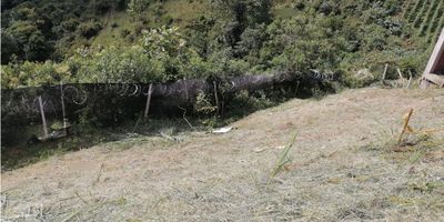 ¡Lote en Venta en Villamaría, Caldas! ??

Excelente oportunidad para construir la casa que siempre soñaste o invertir en una zona de creciente desarrollo residencial.

Ubicación Estratégica:
Este lote de 60 m² está ubicado en un sector tranquilo, cerca de parques, zonas verdes y a pocos minutos del área urbana. Ideal para quienes buscan naturaleza sin alejarse de la ciudad.

Servicios y Entorno:
Cuenta con disponibilidad de agua y electricidad, acceso a transporte público y cercanía a zonas deportivas y campestres.

¡Invierte en un espacio con proyección y calidad de vida! Contáctanos para conocer más detalles.


