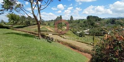 Vendo lote de 3.320 m2 en El Carmen de Viboral, parcelación ideal para construir tú hogar o invertir, fácil acceso, topografía aprovechable, cerramiento en setos vivos, con escrituras al 100%, acometidas desde punto cero del lote, poco registro, tiene planos y  licencia de construcción.Información sujeta a cambios. Las imágenes de muebles, enseres, decoración y demás elementos son una referencia. Vende Activos y Bienes, Inmobiliaria experta en administración, arrendamiento y venta de apartamentos, casas, locales, bodegas y oficinas en el Oriente Antioqueño, Medellín y toda el área Metropolitana.