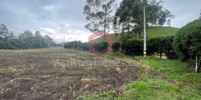 Vendo lote en Rionegro Vereda el Capiro, Rionegro Antioquia, con un área  aproximada de 75.600mt?????Información sujeta a cambios. Las imágenes de muebles, enseres, decoración y demás elementos son una referencia. Arrienda activos y bienes inmobiliaria experta en administración y arrendamiento de apartamentos, casas, locales, bodegas y oficinas en Medellín y toda el área metropolitana.