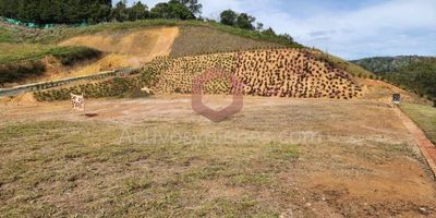Vendo lote de 4000m2, en parcelación ubicado en el municipio de Guarne, vereda la Mosquita, explanación cuenta con manejo de control de aguas lluvias al borde del talud con adobes, con canalización por un tubo de 5 pulgadas,cerramiento en setos vivos con siembra de pinos como barrera natural, arboles frutales de aguacate, guayaba, arándanos, vista panorámica 360°, quebrada de agua en la parte de bajo del lote como zona común de uso privado, acometidas desde punto cero del lote, PTAR, vías internas pavimentadas.Regálate el placer de construir la casa finca de tus sueños en un ambiente campestre en total tranquilidad que brinda la naturaleza. Información sujeta a cambios. Las imágenes de muebles, enseres, decoración y demás elementos son una referencia. Vende Activos y Bienes, Inmobiliaria experta en administración, arrendamiento y venta de apartamentos, casas, locales, bodegas y oficinas en el Oriente Antioqueño, Medellín y toda el área Metropolitana.