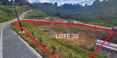 Vendo lote de 1.437mt² a 10 minutos del Aeropuerto internacional José María Córdova y 25 minutos de Medellín, parcelación de alto nivel, diseñada con los más altos estándares de calidad, diseño y sostenibilidad para el confort, proyecto exclusivo con solo 44 lotes independientes, topografía aprovechable con vista panorámica 360° Sector de alta valorización con una ubicación estratégica ya que cuenta con varias salidas a veredas del municipio, Un lugar pensado para vivir tranquilamente, disfrutando de la naturaleza y teniendo el privilegio de estar cerca de la ciudad. Vende Activos y Bienes, Inmobiliaria experta en administración, arrendamiento y venta de apartamentos, casas, locales, bodegas y oficinas en el Oriente Antioqueño, Medellín y toda el área Metropolitana.