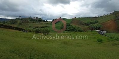 Vendo lote de 3.100 m2 en unidad abierta, ideal para construir tú hogar o invertir, cuenta con fácil acceso, topografía aprovechable, cerramiento en setos vivos, con escrituras al 100%, acometidas desde punto cero del lote, tiene poco registro, vista panorámica 360°.Información sujeta a cambios. Las imágenes de muebles, enseres, decoración y demás elementos son una referencia. Vende Activos y Bienes, Inmobiliaria experta en administración, arrendamiento y venta de apartamentos, casas, locales, bodegas y oficinas en el Oriente Antioqueño, Medellín y toda el área Metropolitana.
