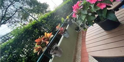 SE VENDE APARTAMENTO DE 68M2, EN EL BARRIO EL LIDO ,PRIMER PISO CON PARQUEADERO PROPIO EN SOTANO Y DEPOSITO, Consta de Sala, comedor, balcon, Cocina equipada, Zona de oficios, Baño de alcobas, 3 habitaciones con closet la principal con baño privado, Parqueadero propio en sotano, Depósito amplio, la unidad cuenta con Zona infantil, cancha, piscina, salón social. cerca a universidades, centros comerciales, vias principales. 

 
