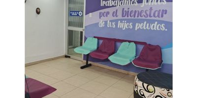 La Fontana Soluciones Inmobiliarias te ofrece esta excelente oportunidad de inversión: una casa con renta que lo tiene todo. La vivienda principal es una casa de un (1) nivel, con tres (3) cómodas alcobas, un (1) closet, sala comedor amplia, cocina semintegral, un (1) baño, pisos en cerámica y un práctico patio de ropas. Además, cuenta con un local comercial independiente que incluye un (1) baño y pisos en cerámica, ideal para generar ingresos adicionales. ¡Invierte hoy mismo en un inmueble que te brinda comodidad y rentabilidad! ¡Llámanos y asegura tu futuro con nosotros!

Código inmo: 14853 Manizales, Caldas.
