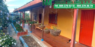 Finca a 15 minutos del parque de Marinilla, via completamente pavimentada, escrituras al día, camaras de vigilancia y alarma comunitaria. Galpón para 120 gallinas y establo para 6 vacas,