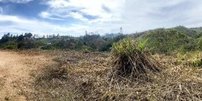 Lote en venta en San Vicente, de 3334 m2 aproximadamente, en vereda las hojas, se pueden construir 2 casas.Aplica para subsidio de vivienda rural cercanías: Tienda Pelo a Pelo, a 7 Minutos de la Via Principal a San Vicente, Flores la María