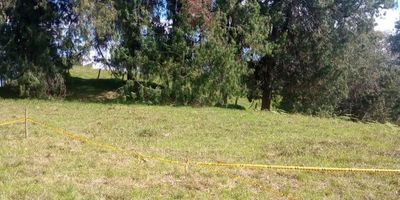 Descubre tu proyecto de vida en el Alto de Matasanos, Barbosa, con lotes campestres diseñados para quienes valoran la seguridad, la tranquilidad y una inversión segura en espacios con sentido.

Desde $70.000.000 COP hasta $115.000.000 COP, con precios accesibles y facilidades de pago. Áreas disponibles desde 535 m² hasta más de 1.000 m², con escritura al 100%, acceso privado y servicios listos para construir:

Acceso delimitado y entrada con portón en madera 
Cometida de agua instalada
Postes de luz en cada lote
Acceso por vía destapada en excelente estado
Terrenos demarcados con cinta amarilla

El entorno combina naturaleza, tranquilidad y alto potencial de valorización. Ubicados en zona alta, con vistas abiertas a la montaña y un clima fresco todo el año.