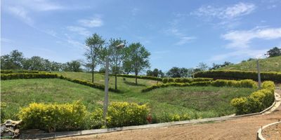 Se vende Lote en Viterbo, Caldas.

El condominio consta de 48 lotes, ubicado a 3 minutos de la plaza de Viterbo (Caldas). Sus vias internas son amplias con iluminacion solar, hermosos paisajes y vegetacion nativa, todos los lotes tienen vista, su topografia es semiplana.

Todavia estamos con precio de lanzamiento.  A parte de este lote, tenemos otros disponibles de 1500 a 2500 mts aproximadamente.

 

 
