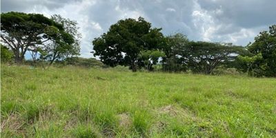 Vendemos lotes campestres en Cerritos, Pereira. "Descubre la oportunidad de vivir en armonía con la naturaleza en el exclusivo Condominio de Cerritos, Pereira. Ofrecemos lotes de aproximadamente 2,000 metros cuadrados en un entorno de ensueño, donde la seguridad y la comodidad se fusionan para brindarte la calidad de vida que te mereces. Este conjunto cerrado cuenta con todas las comodidades necesarias para que disfrutes al máximo de tu hogar, rodeado de espacios verdes y tranquilidad.

Además, estarás cerca de una variedad de restaurantes y servicios, lo que te permitirá disfrutar de la conveniencia de la vida urbana sin renunciar a la tranquilidad del campo.

¡Contáctanos ahora mismo para conocer más detalles y descubrir los diversos lotes disponibles que tenemos para ti!"
