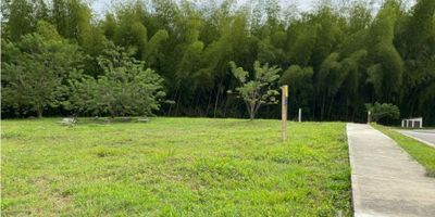Se vende lote campestre, en conjunto cerrado, topografia plana, hermoso, vias internas pavimentadas, seguridad privada, sector cerritos. El 95% de los lotes ya tienen si casa construida, solo nos quedan tres lotes diaponibles para la venta de 1542, 2053 y 1911 metros2. Construye la casa de tus sueños, en un lugar que te permita vivir en la naturaleza, donde encuentras seguridad, tranquilidad y paz. Llamanos para mas informacion!
