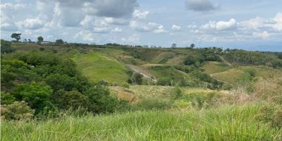 Vendo hermoso lote campestre. Lote campestre de 12,200 metros cuadrados ofrece una espectacular vista al valle del Risaralda. Ubicado en un sector tranquilo y seguro, podrás disfrutar de la serenidad del campo sin renunciar a la comodidad de la ciudad. Construye la casa de tus sueños rodeada de espacios verdes, jardines y huerta. Además, estarás dentro de un conjunto cerrado con vigilancia, garantizando tu tranquilidad y seguridad. ¡No dejes pasar esta oportunidad de vivir como en una finca pero en la ciudad! Precio de oportunidad. ¡Contáctanos ahora!"
