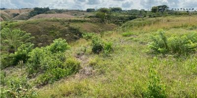 En venta del lote campestre, Cerritos, Pereira. ¡Construye tu sueño en el paraíso! Este lote campestre de 10,000 metros cuadrados ofrece una espectacular vista al valle del Risaralda. Ubicado en un sector tranquilo y seguro, podrás disfrutar de la serenidad del campo sin renunciar a la comodidad de la ciudad. Construye la casa de tus sueños rodeada de espacios verdes, jardines y huerta. Además, estarás dentro de un conjunto cerrado con vigilancia, garantizando tu tranquilidad y seguridad. ¡No dejes pasar esta oportunidad de vivir como en una finca pero en la ciudad! Precio de oportunidad. ¡Contáctanos ahora!"
