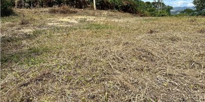 ?️ ¡Oportunidad única de inversión en un paraíso natural! ?

Se vende hermoso lote de 1.822 m² ubicado en la vereda San Benito de Lebrija, con una impresionante vista a la represa que te dejará sin aliento. ?

✅ Terreno amplio y fértil
✅ Ideal para proyecto campestre, casa de descanso o inversión ecológica
✅ Clima cálido, entorno natural y tranquilo
✅ Fácil acceso desde la vía principal

ESCRITURA PORCENTUAL 

Conviértelo en el lugar de tus sueños o en una excelente oportunidad de desarrollo rural. ?

? Vereda San Benito – Lebrija, Santander
? Contáctanos para más información o para agendar tu visita 3163977150
