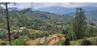 ?️ VENDO LOTE EN CONDOMINIO CAMPESTRE MONTAÑA ?
? Hermosa vista | Vías pavimentadas | Portería 24h

¿Sueñas con vivir rodeado de naturaleza, tranquilidad y aire puro?
Este lote es ideal para construir la casa que siempre quisiste en un entorno campestre exclusivo ?

? Área: 3.944,49 m²
? Condominio cerrado con portería y seguridad 24 horas
?️ Acceso por vías completamente pavimentadas
? Increíble vista a las montañas y paisajes naturales
? Ambiente tranquilo, privado y con excelente valorización

✅ Perfecto para casa campestre, descanso o inversión
? Documentación al día

? Contáctame para más información y agendar una visita
