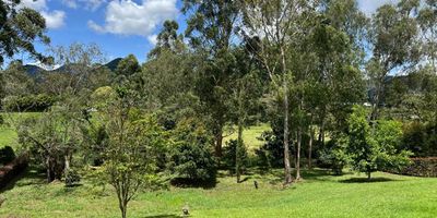 Vendo lote en parcelacion en el municipio de la Ceja - Antioquia de 3.372 m2 con topografia semi ondulada, en cerramientos de setos vivos, vias internas pavimentadas , acometidas desde punto cero del lote, con arboles frutales. 