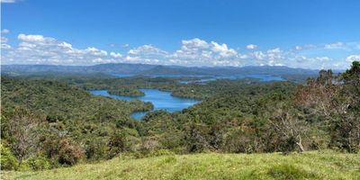 VENDO LOTE EN EXCLUSIVA PARCELACION  EN GUATAPÉ, en unidad cerrada, con una hermosa vista natural hacia la represa de Guatapé y la piedra del Peñol. Vías internas en placa huella y rieles y a tan solo 1,9 km del municipio de Guatapé. La parcelación cuenta con portería, redes de luz y agua. Es un proyecto exclusivo de 9 lotes, diseñado por el reconocido arquitecto Alejandro Barreneche, quine cuenta con 29 años de experiencia. Los lotes se entregan con diseño arquitectónico y eléctrico de casa (casas de 144 m2 y 200 m2). 

Indice de Construcción 15% + Kiosco + zona humeda. Se entrega con explanación. 

La parcelacion se encuentra a 3 minutos en carro, desde la marina
