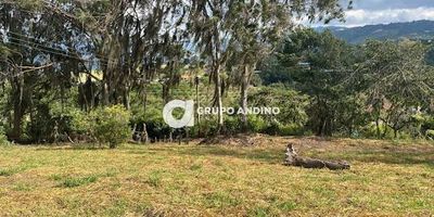 Se vende Parcela lote condominio Vista hermosa - Lebrija
Ubicado a 15 minutos del aeropuerto de Bucaramanga palo negro, excelente vista, clima y zonas verdes.
Características del inmueble: área del lote 1.435 m2, cuenta con una vista hermosa y zonas verdes
El condominio cuenta con: dos porterías, zonas verdes, zona bbq, tiene agua, no tiene luz (está en proceso), no tiene gas, total de 45 parcelas de las cuales ya viven la mitad y vigilancia las 24 horas.
VALOR: $230.000.000 negociables - ADMINISTRACIÓN: $78.000
pregunta por él, bajo el código Inmobiliario 1420-334 ¡Contáctanos! Agenda tu cita y con gusto te asesoramos.
Contactos: 3026225944 – 3025361346 - 3006684439
Somos GRUPO ANDINO INMOBILIARIO, con nosotros tendrás tus trámites más fácil y rápido.
