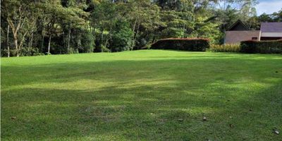 Se vende Hermoso lote en parcelacion sobre la via El Retiro-La ceja (V. Pantanillo), con un area de 2041 mt2, rodeado de una reserva natural, estrato 5, con todos los servicios publicos instalados, electricidad, gas y acueducto, quebrada pequena y bosque de arboles nativos que pertenecen al lote, esta parcelacion cuenta con 10 lotes de los cuales 5 ya estan construidos, topografia plana lista para construir una casa, ambiente muy campestre y tranquilo, a 10 minutos del municipio del retiro en trasporte.