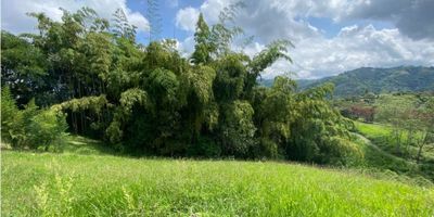 Se vende lote campestre ubicado a 800 metros de la vía principal, en él se puede desarrollar diferentes proyectos como construir una casa campestre, cabañas, ecohotel, Glamping.

 

Su topografía plana y semi plana es muy funcional para cualquier proyecto de vivienda o turístico que se pretenda realizar.

 

Ubicado a 20 minutos del centro de Pereira, a 30 minutos del aeropuerto internacional Matecaña, cerca de restaurantes, droguerías, domicilios, todo esta al alcance y con viviendas de fincas a su alrededor.

 

Llamanos para más información. Cel 3128312584

 
