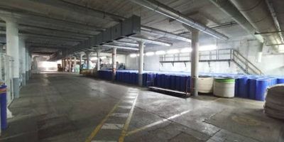 Bodega para arriendo ubicada en parque industrial, con un área total de 1.763 metros cuadrados, ideal para operaciones logísticas, almacenamiento o industria pesada. Cuenta con baños espacios de oficinas, altura libre de 4.16 metros, lo que permite un excelente aprovechamiento del espacio vertical. Dispone de acceso mediante puerta para camión, apta para el ingreso de vehículos tipo semi camión. La instalación eléctrica puede adaptarse a las necesidades específicas del arrendatario. Para más información, comunícate con nuestras líneas de atención al cliente.