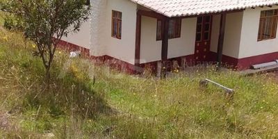 ATOS INMOBILIARIA vende hermosa finca ubicada en la vereda Forantiva, en el municipio de Oicatá, muy cerca de la capital del departamento.
La propiedad cuenta con un área total de 53.000 metros cuadrados y una construcción de 60 metros cuadrados, que incluye dos habitaciones, un baño, sala-comedor, cocina integral y patio de ropas.
Además, dispone de servicios de agua y luz y está rodeada de árboles frutales, lo que la convierte en un lugar ideal para vivir o desarrollar proyectos agropecuarios en un entorno natural y tranquilo.
¡No dejes pasar esta oportunidad! Contáctanos y agenda tu cita hoy mismo.