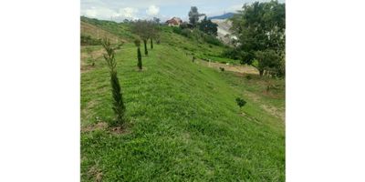 Se vende Lote ubicado en El Carmen de Viboral, uno de los municipios más atractivos y tranquilos de Antioquia. Este inmueble se encuentra en una zona estratégica, rodeada de zonas verdes y a pocos pasos de la zona urbana, brindando la comodidad de vivir en un ambiente tranquilo pero con acceso rápido a todos los servicios y facilidades.

 Además, su área privada de 1500 metros cuadrados ofrece la privacidad y tranquilidad que todos buscamos en nuestro hogar.

Internamente, este lote  cuenta con un sistema de agua eficiente que garantiza un suministro estable y de calidad en todo momento y tiene pozo séptico. 

Externamente, este lote tiene un acceso pavimentado que garantiza un fácil acceso en todo tipo de condiciones climáticas. También está ubicado sobre una vía principal, lo que facilita aún más el transporte y la conectividad con otros puntos de interés de la ciudad. Igualmente, cuenta con transporte público cercano para una mayor comodidad y acceso a diferentes destinos.

Su ubicación en una zona residencial ofrece un ambiente seguro y tranquilo, ideal para familias que buscan un lugar para descansar y disfrutar de la vida en comunidad. Además, sus  zonas verdes permite disfrutar de la naturaleza y realizar actividades al aire libre en un entorno apacible y acogedor.

No pierdas la oportunidad de adquirir este increíble Lote en El Carmen de Viboral. Una excelente opción para aquellos que buscan un hogar amplio, cómodo y bien ubicado en una de las zonas más atractivas de Antioquia. ¡Contáctanos hoy mismo para más información y agendar una visita!
