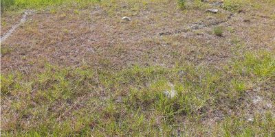 Bello es uno de los municipios más prósperos y atractivos de Antioquia, por lo que sin duda, este Lote se trata de una excelente oportunidad inmobiliaria. En este hermoso lugar, tenemos el placer de presentarte un lote/terreno con una área total de 3391 M2.

Este terreno es ideal para construir tu proyecto de casa de lujo soñada, a tu gusto, su vista panorámica te permitirá disfrutar de increíbles atardeceres e impresionantes paisajes.

No solo eso, este terreno cuenta con características externas que lo hacen aún más atractivo. esta rodeado de hermosos bosques nativos. Además, su cercanía a centros comerciales y la zona urbana, te brindarán la comodidad y el acceso a servicios que necesitas.

Otro aspecto destacado de este terreno es su seguridad. Cuenta con circuito cerrado de televisión, portería/recepción y vigilancia, lo que te brindará la tranquilidad que necesitas para vivir o invertir. 

Si estás buscando un lugar para construir la casa de tus sueños o para invertir en proyectos inmobiliarios, este terreno es la opción perfecta. 

¿Qué estás esperando? No dejes pasar esta oportunidad única de adquirir este lote en una de las zonas mas exclusivas del norte de la ciudad. Precio negocibale. ¡Contactanos!
